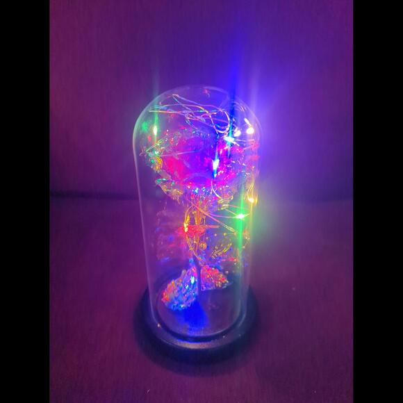 Rose light - Picture 3 of 6